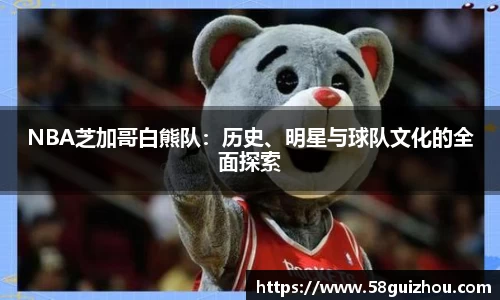 DG视讯平台