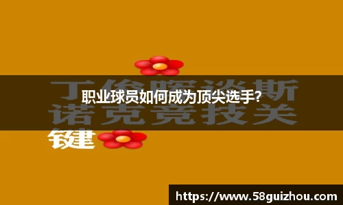 DG视讯